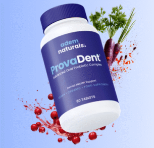 provadent.online